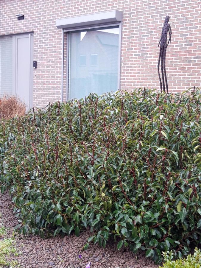 B&B Bergdal Gits Exterior foto